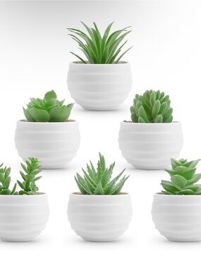White Potted Mini Succulent Planter Set with Faux Green Succulents
